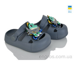 Кроксы Golden Lion